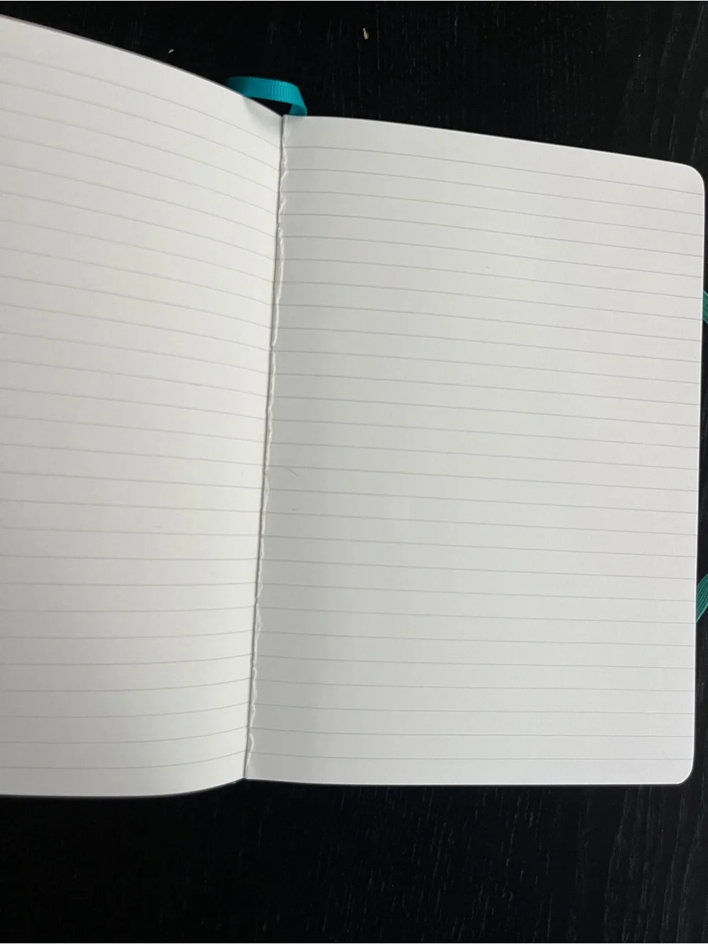 PAPERAGE Teal Datadog Journal Lined Notebook Pocket Stickers Ribbon Bookmark